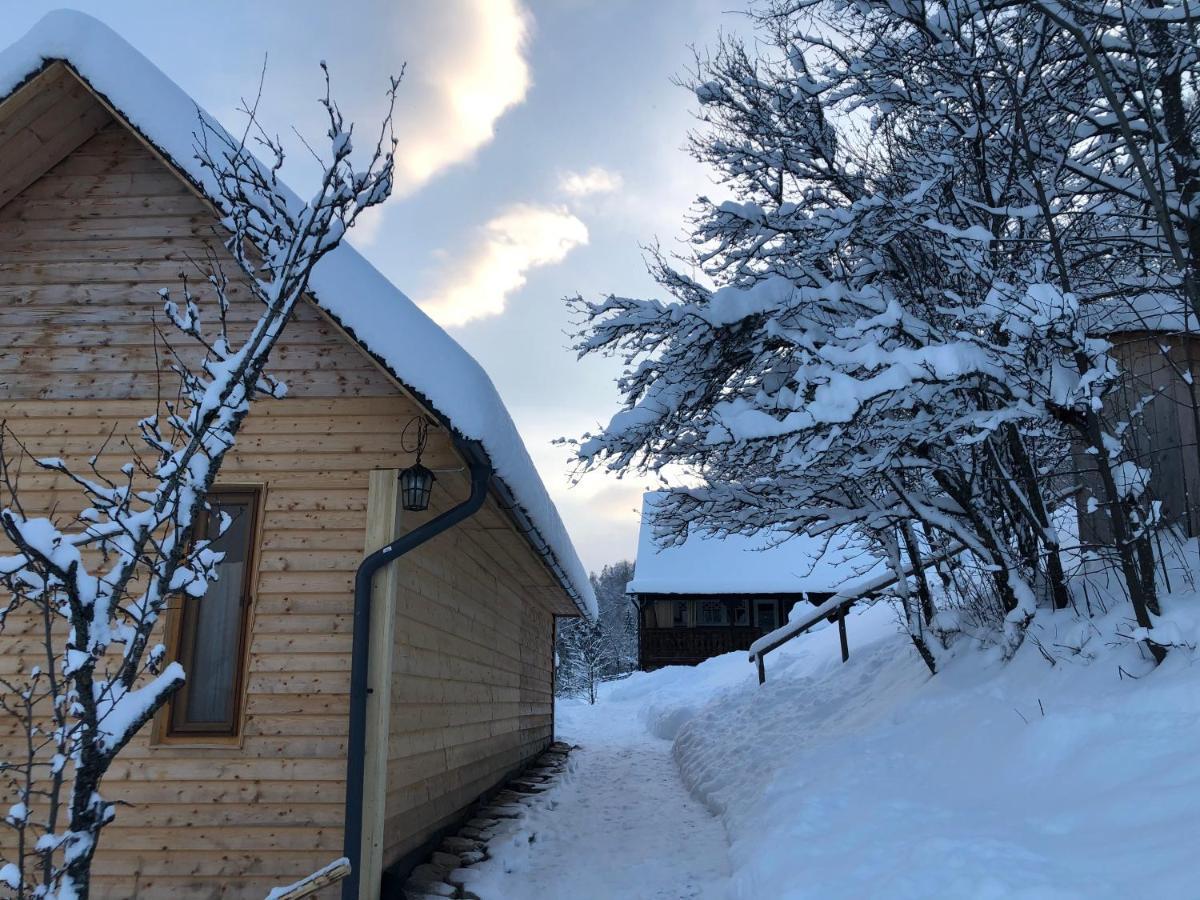 La Noi La Munte Villa Matisesti Bagian luar foto