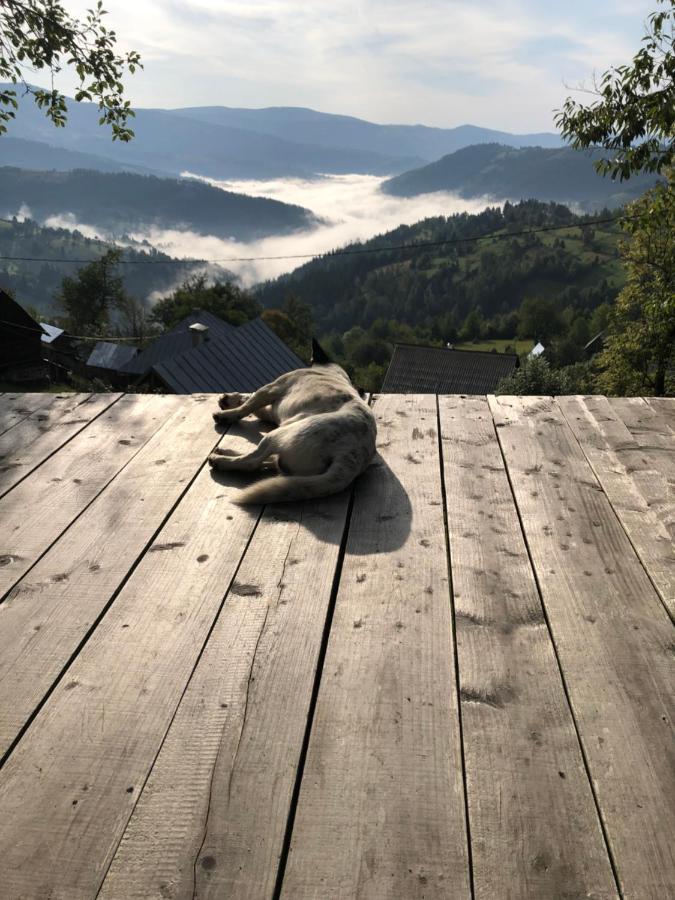 La Noi La Munte Villa Matisesti Bagian luar foto