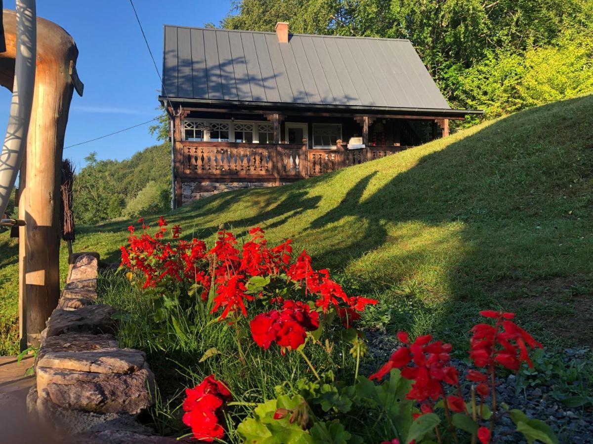 La Noi La Munte Villa Matisesti Bagian luar foto